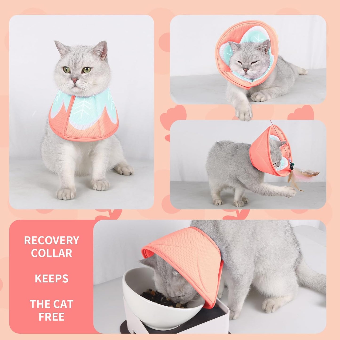 Cat Cone Collar