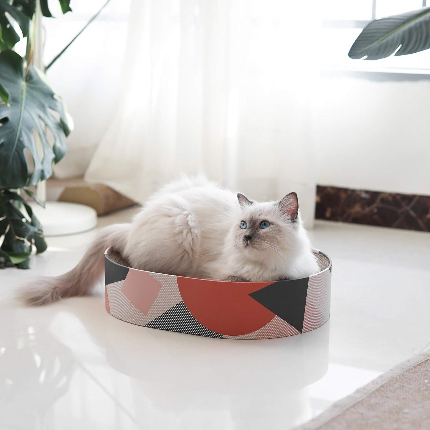 Oval Cat Scratching Pad