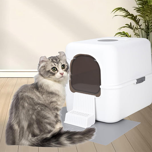 Small Cat Litter Box